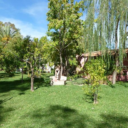 Eco Moyano Posada Gaucín Exteriér fotografie
