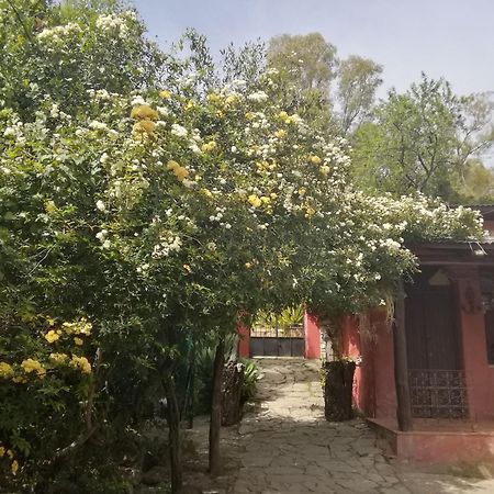 Eco Moyano Posada Gaucín Exteriér fotografie