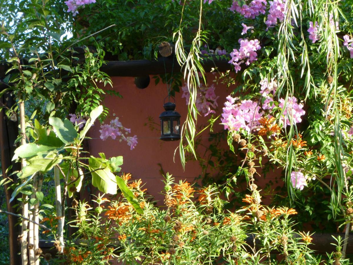 Eco Moyano Posada Gaucín Exteriér fotografie