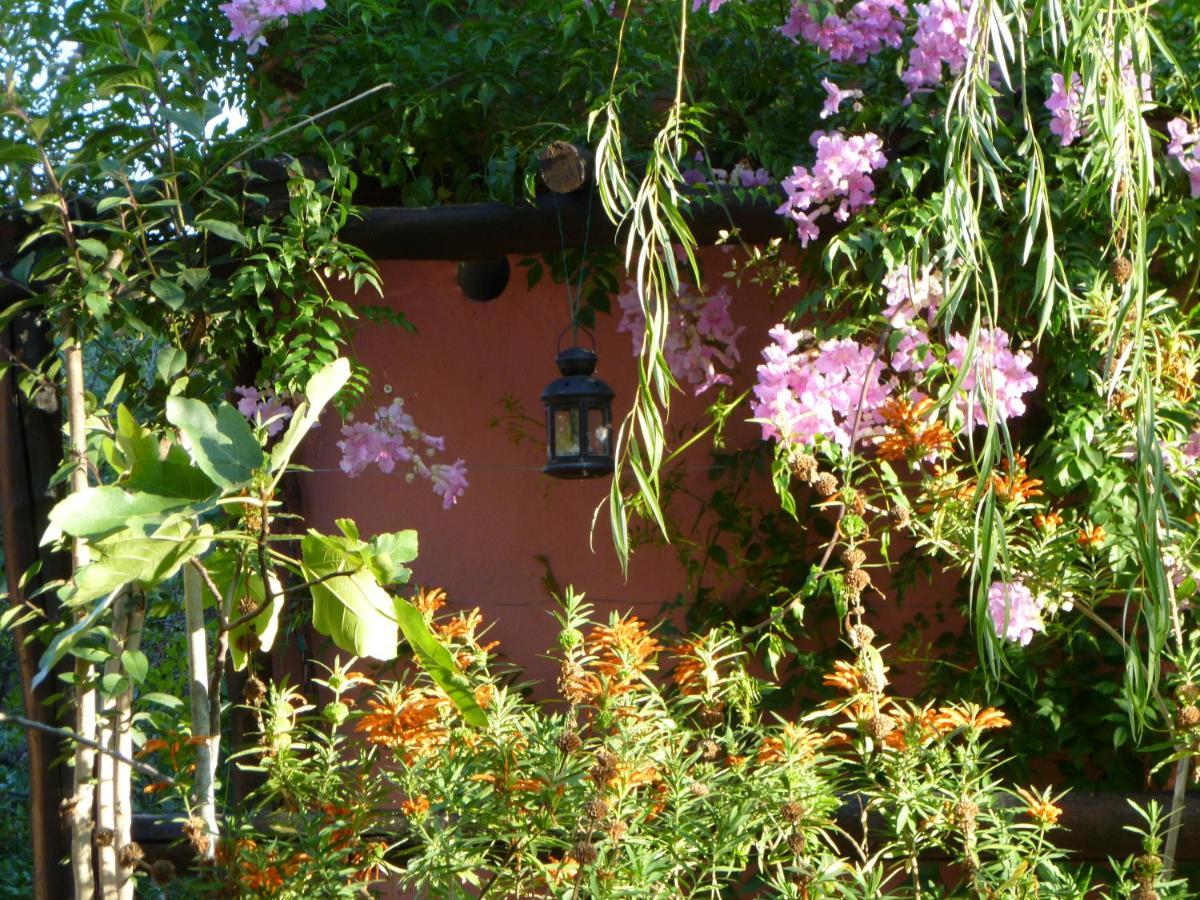 Vila Eco Moyano Posada Gaucín Exteriér fotografie