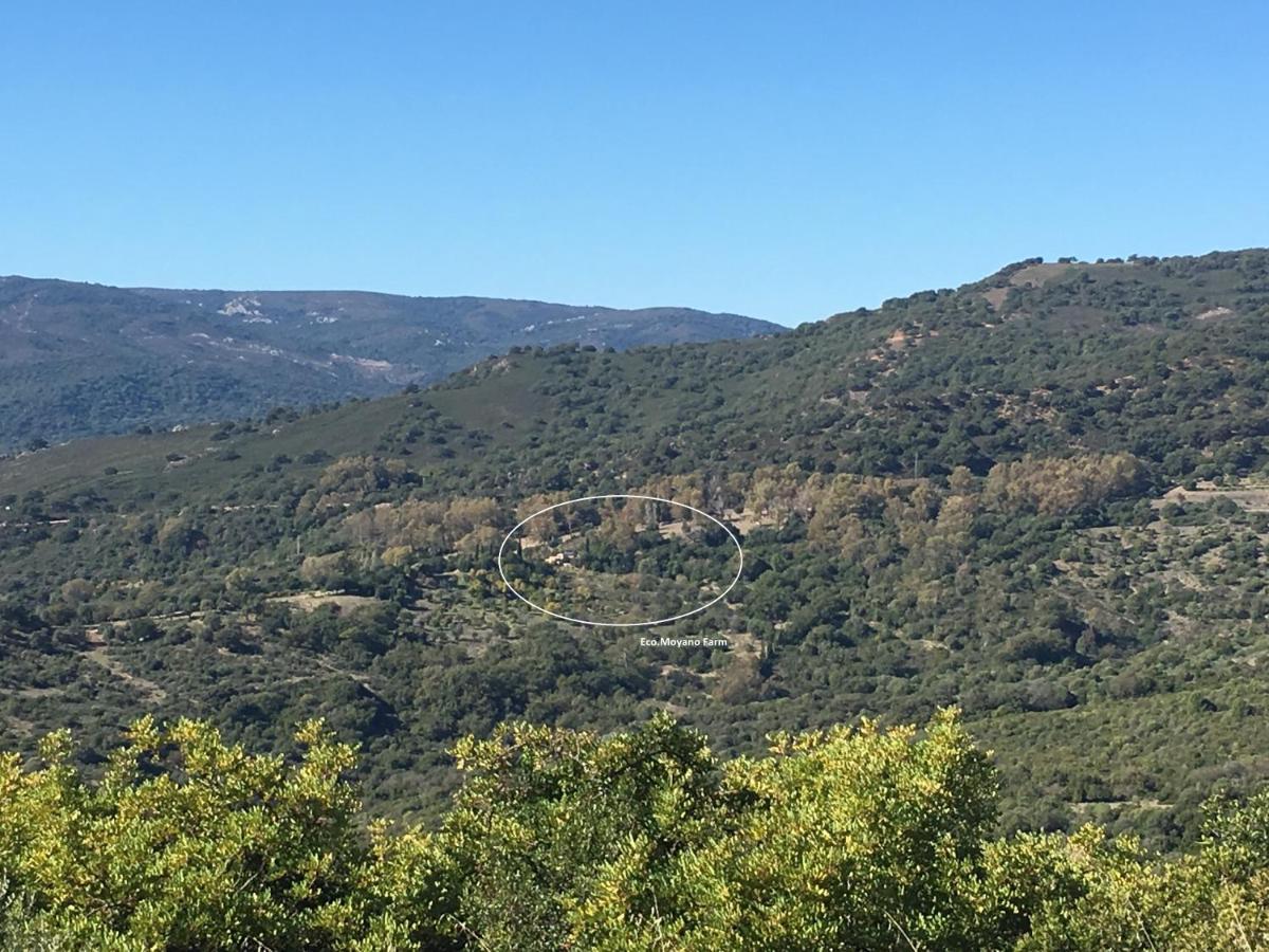 Eco Moyano Posada Gaucín Exteriér fotografie