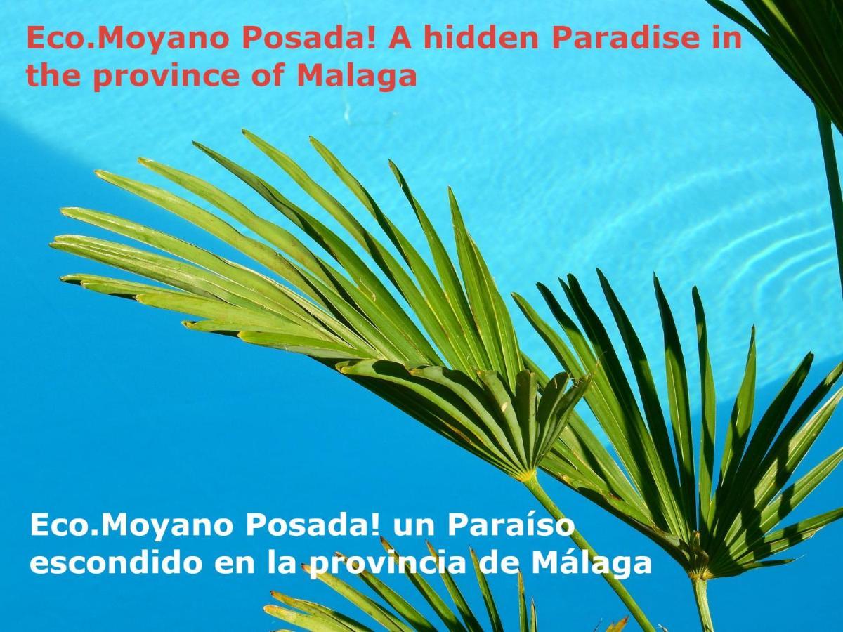 Eco Moyano Posada Gaucín Exteriér fotografie