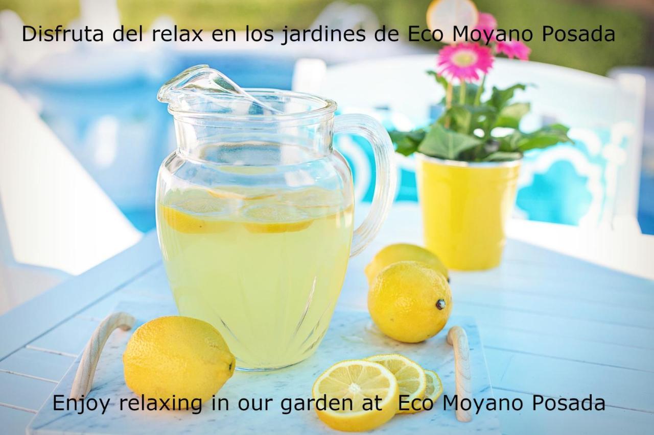 Eco Moyano Posada Gaucín Exteriér fotografie