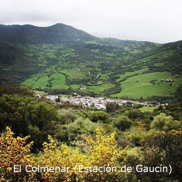 Vila Eco Moyano Posada Gaucín Exteriér fotografie