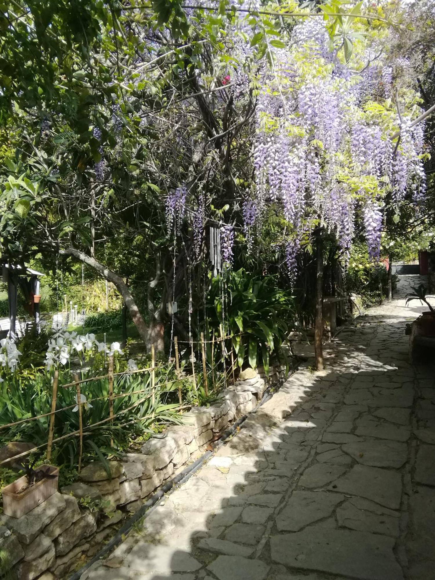 Eco Moyano Posada Gaucín Exteriér fotografie