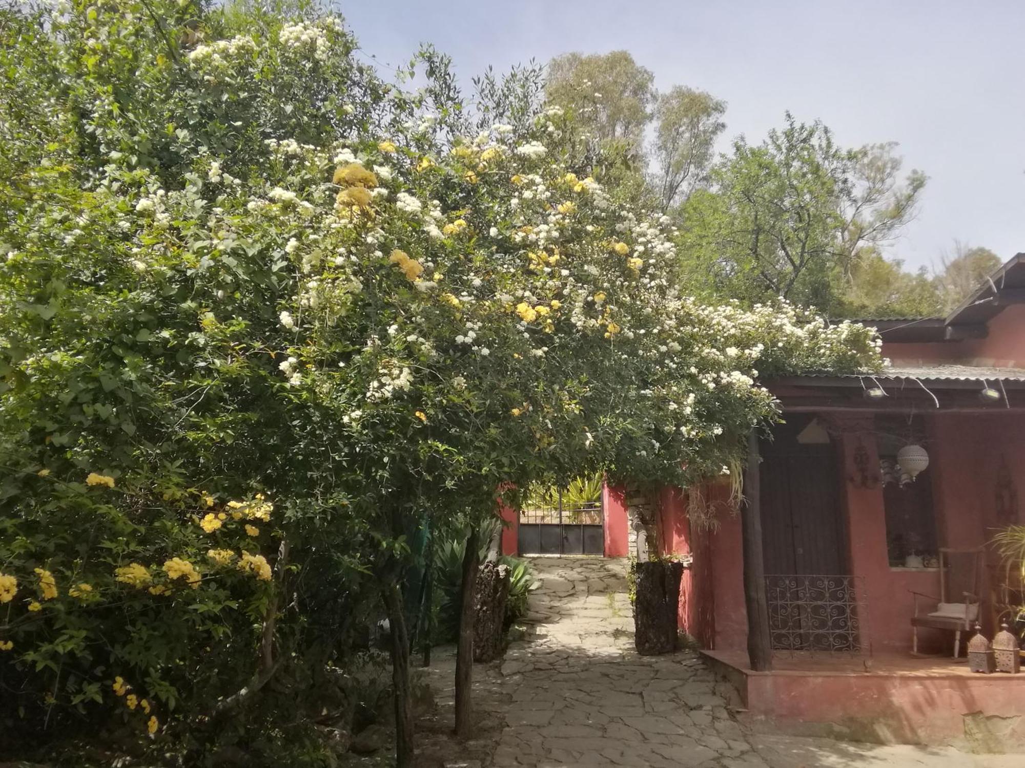 Eco Moyano Posada Gaucín Exteriér fotografie