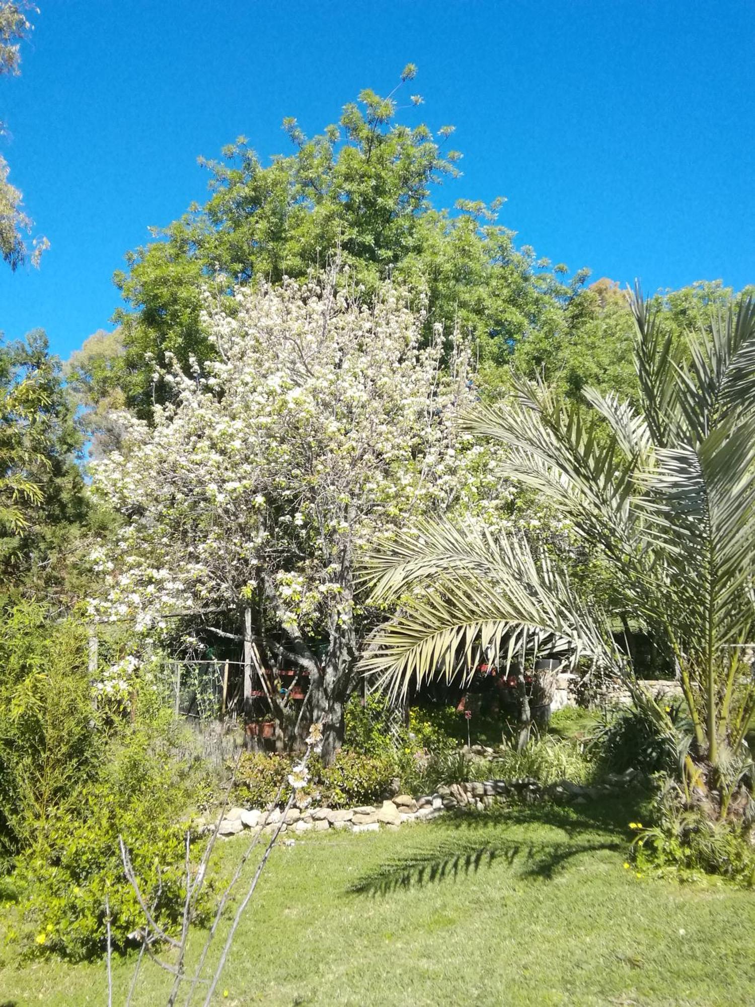 Eco Moyano Posada Gaucín Exteriér fotografie